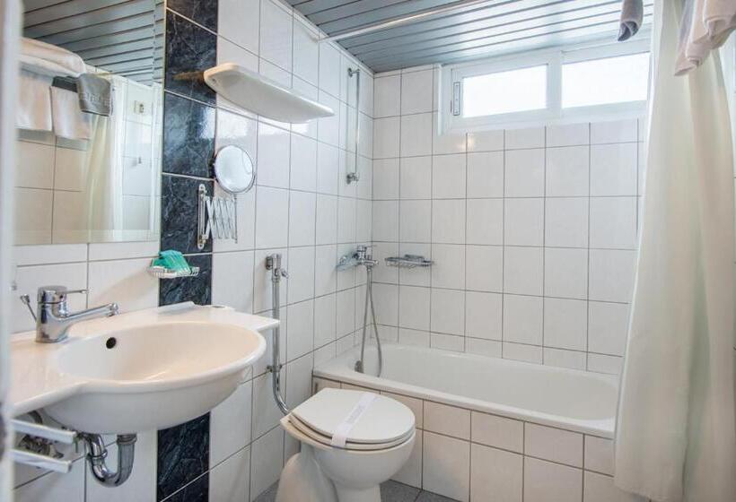 בית מלון כפרי Metropol