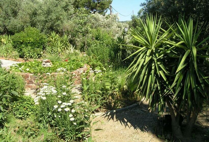 בית מלון כפרי Mytilana Village