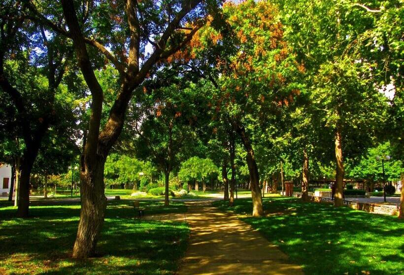 בית מלון כפרי Park