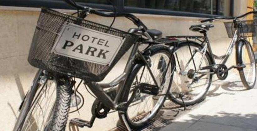 בית מלון כפרי Park