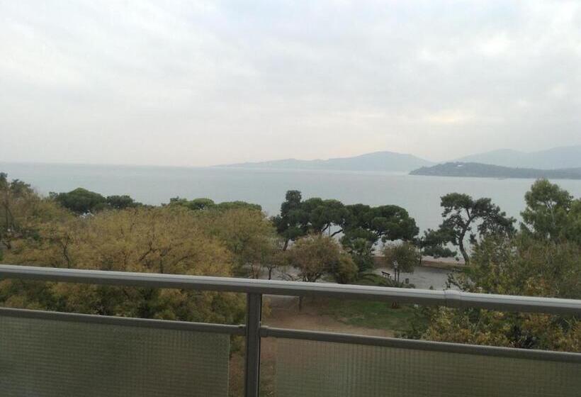 בית מלון כפרי Park