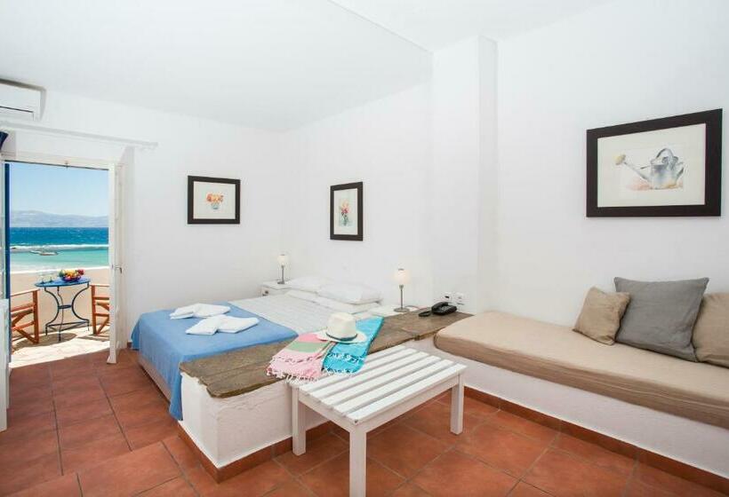 בית מלון כפרי Paros Philoxenia