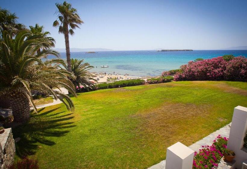 בית מלון כפרי Paros Philoxenia