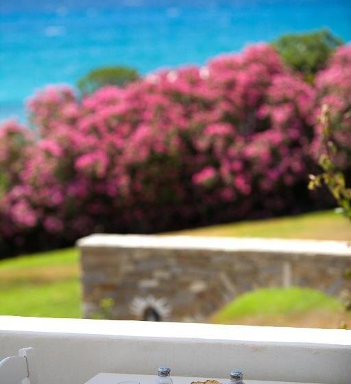 בית מלון כפרי Paros Philoxenia