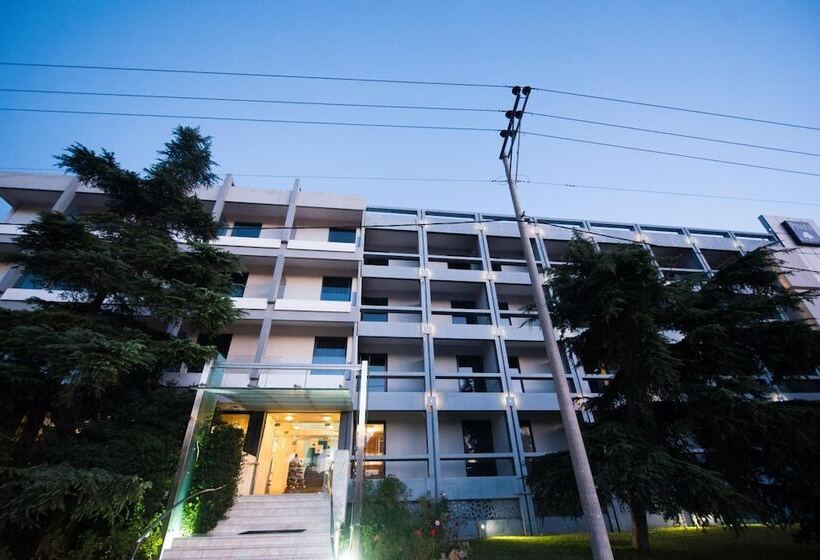 בית מלון כפרי Pines