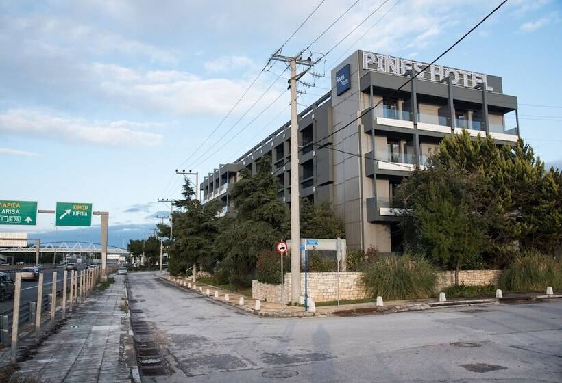 בית מלון כפרי Pines