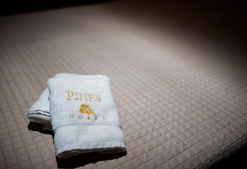 בית מלון כפרי Pines