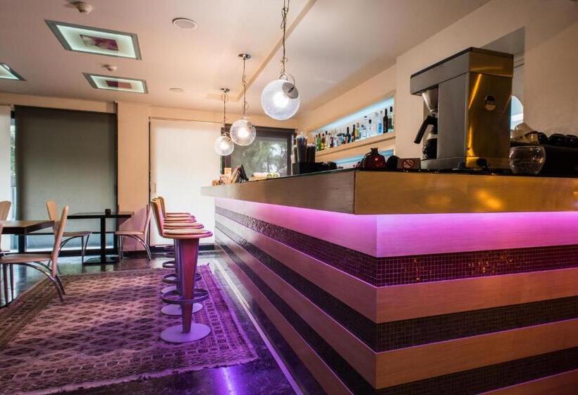 בית מלון כפרי Pines