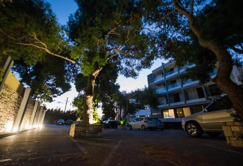 בית מלון כפרי Pines