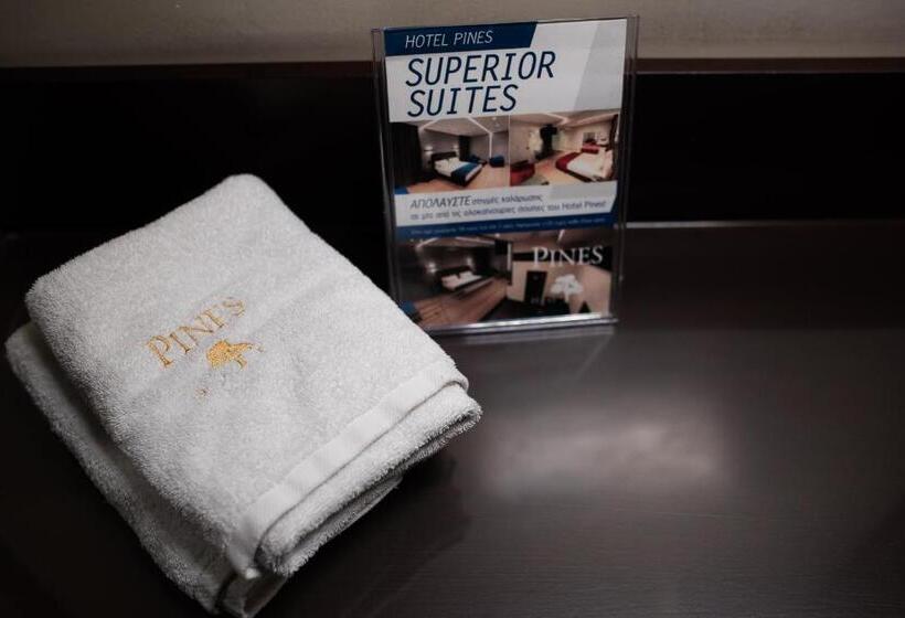 בית מלון כפרי Pines