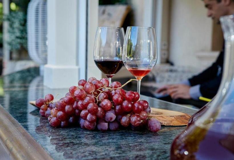 בית מלון כפרי Rodos Park