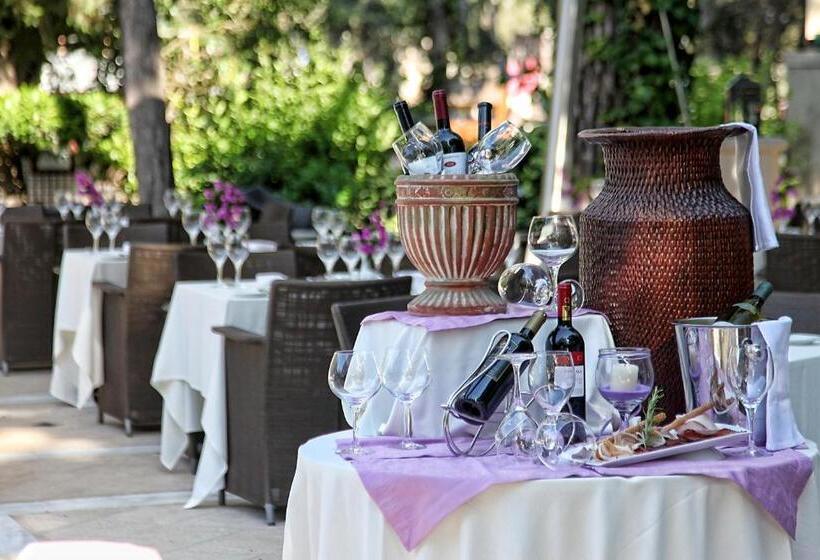 בית מלון כפרי Rodos Park