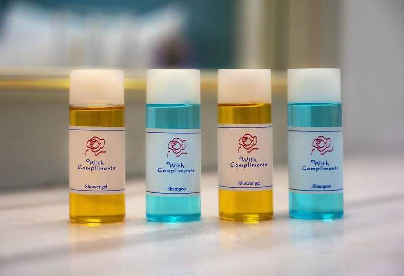 בית מלון כפרי Roy