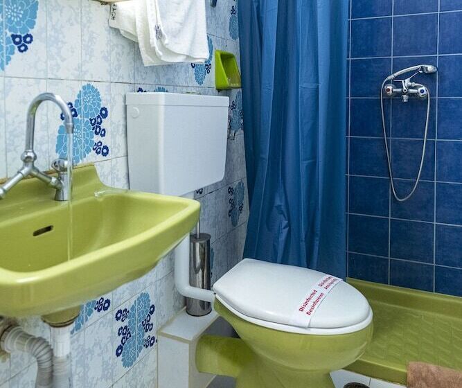 בית מלון כפרי Roy