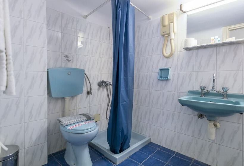 בית מלון כפרי Roy