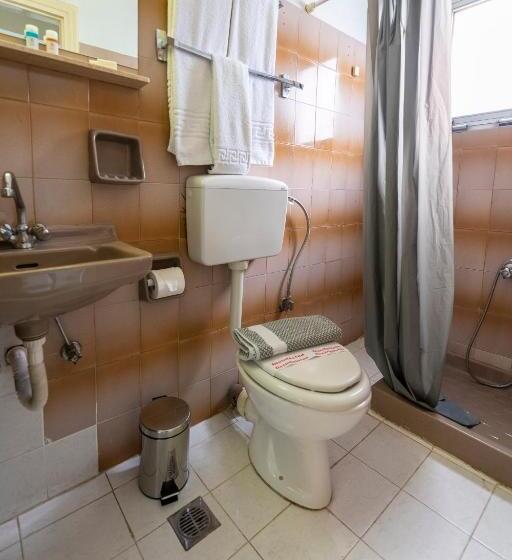 בית מלון כפרי Roy