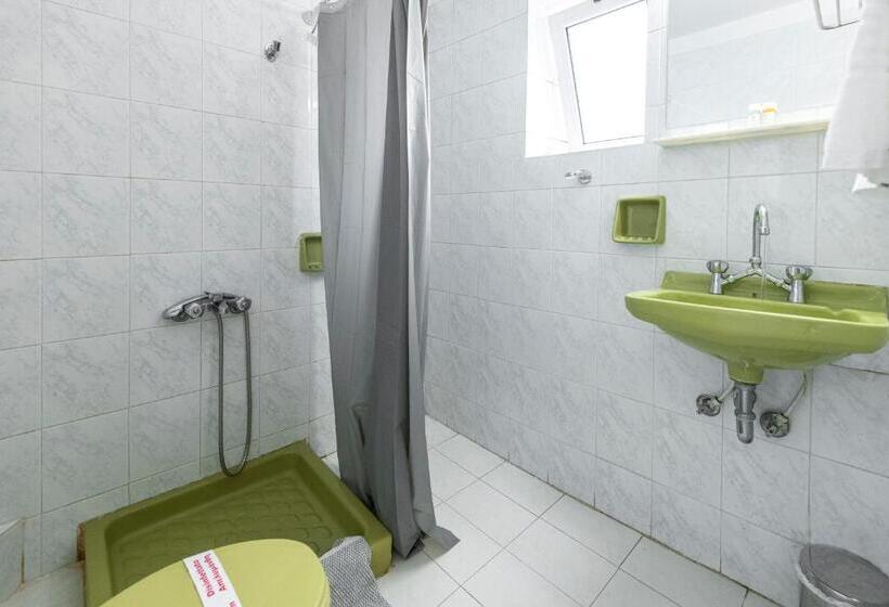 בית מלון כפרי Roy