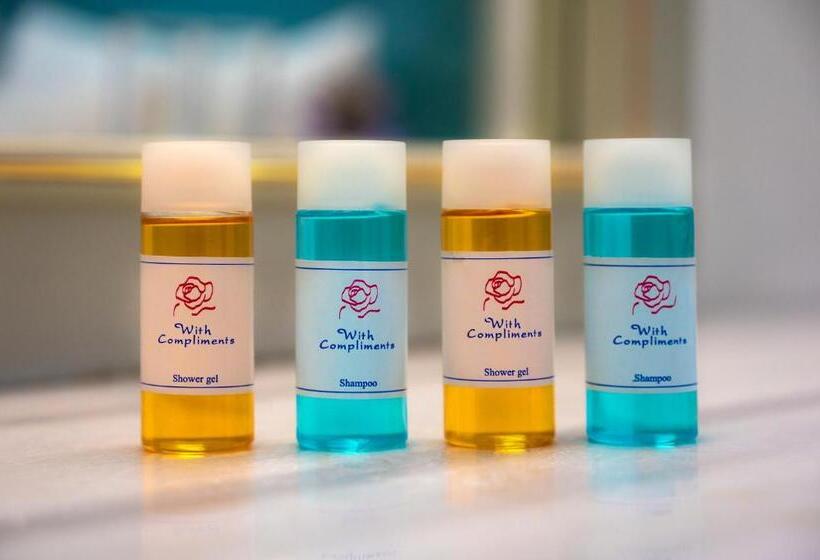 בית מלון כפרי Roy