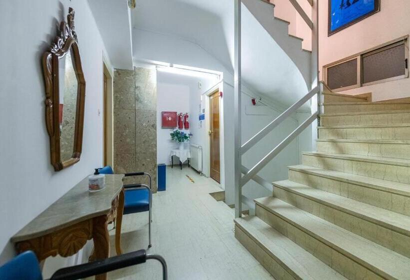 בית מלון כפרי Roy