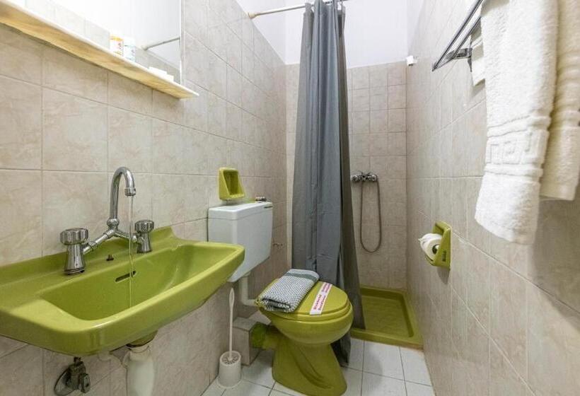 בית מלון כפרי Roy