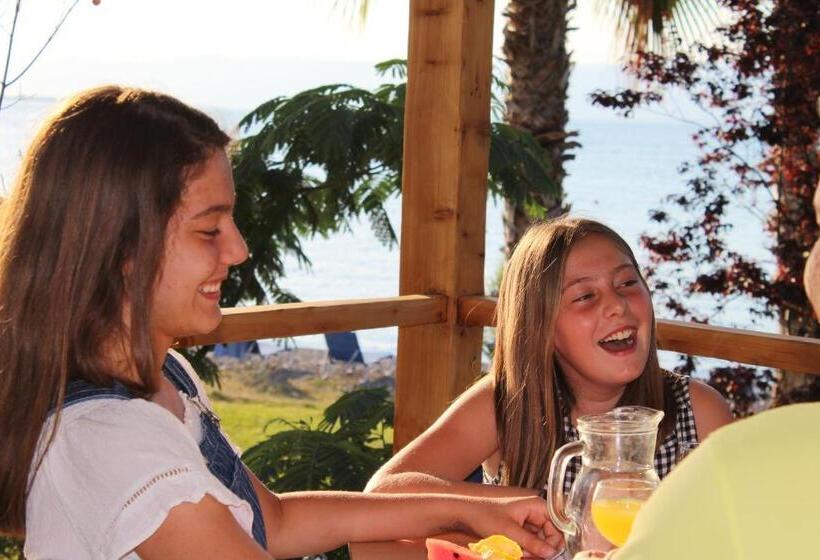 בית מלון כפרי Sissy