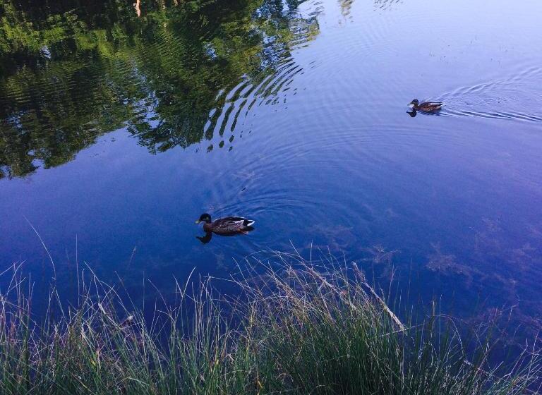 ホテル Síkfőkút