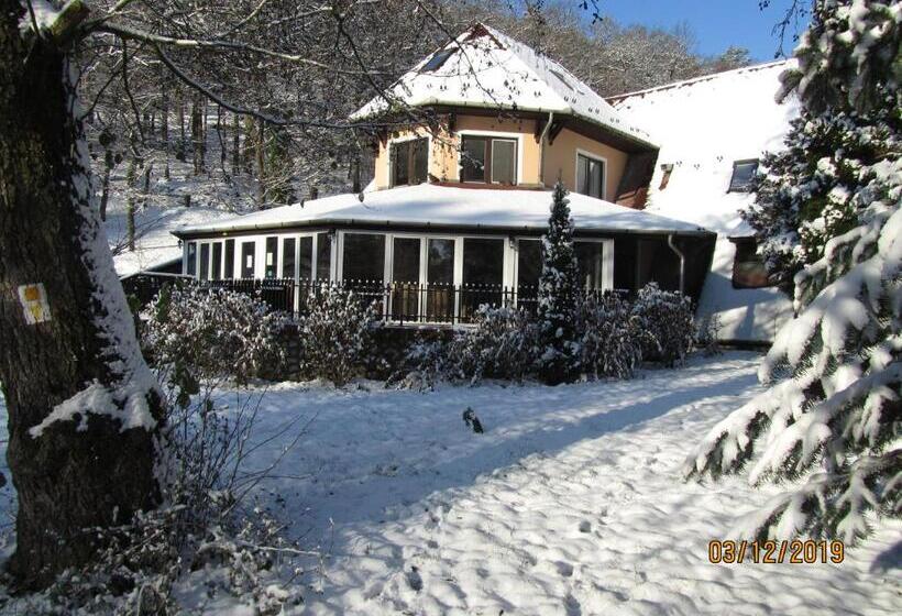 ホテル Síkfőkút