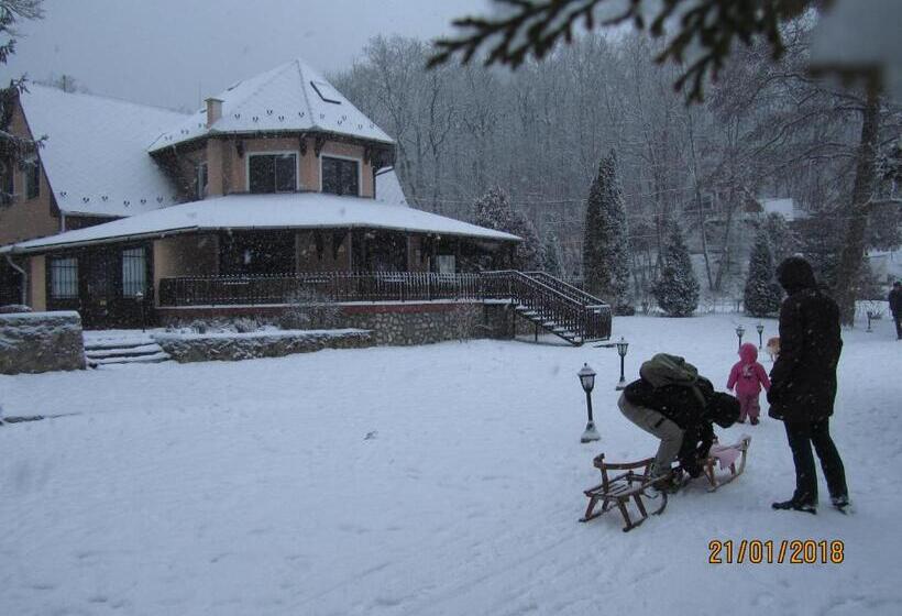 ホテル Síkfőkút