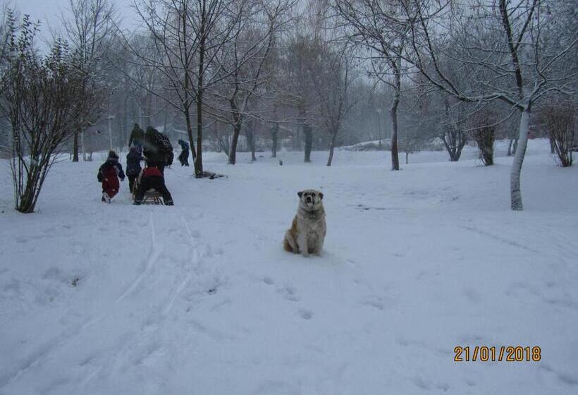 ホテル Síkfőkút