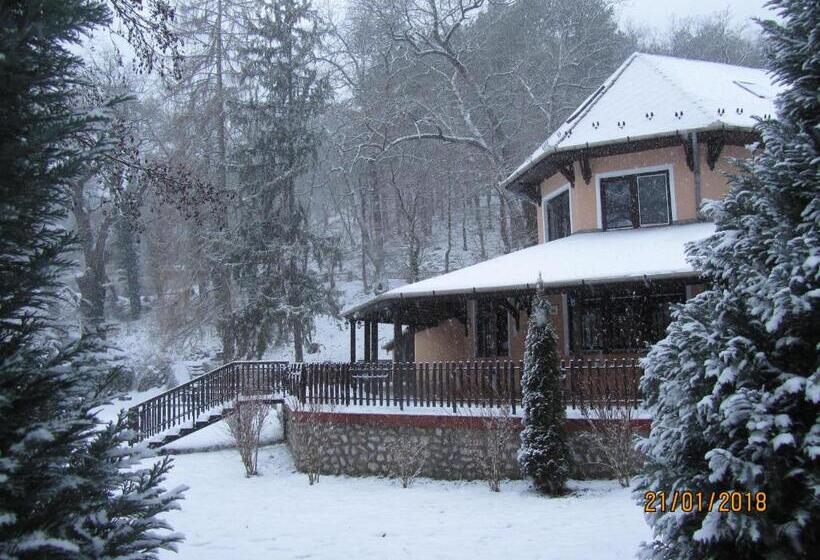 ホテル Síkfőkút