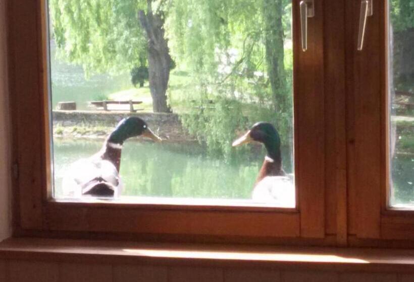 ホテル Síkfőkút