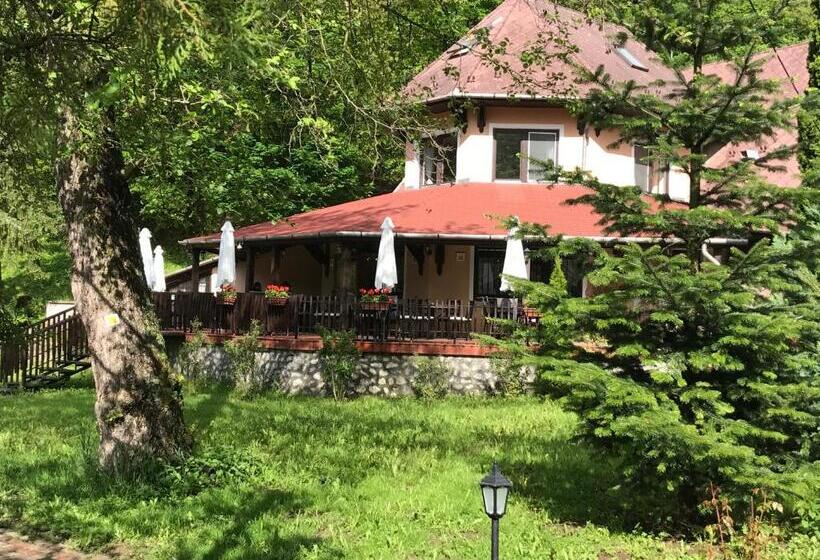 ホテル Síkfőkút