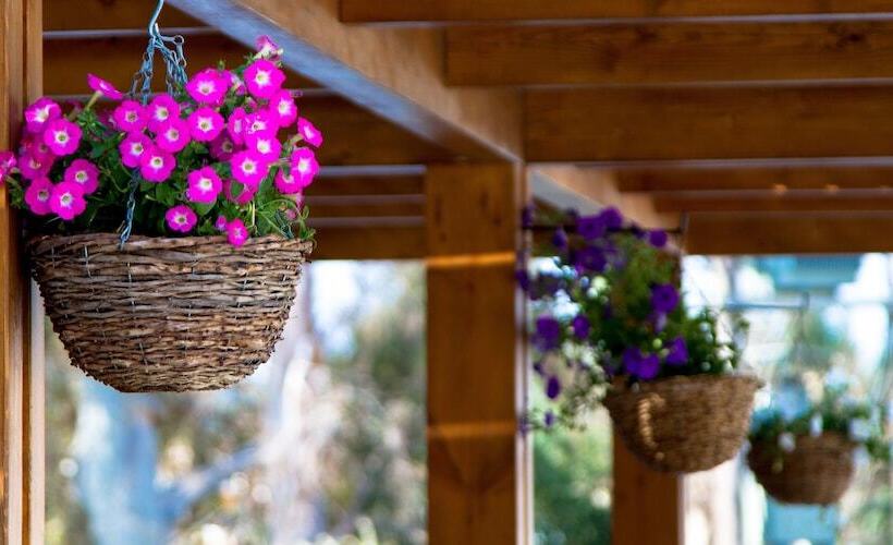 Sun Palace Hotel   All Inclusive