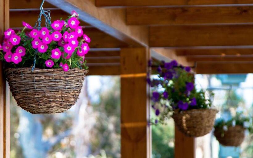 Sun Palace Hotel   All Inclusive