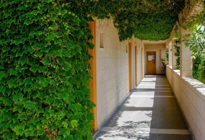 Sun Palace Hotel   All Inclusive