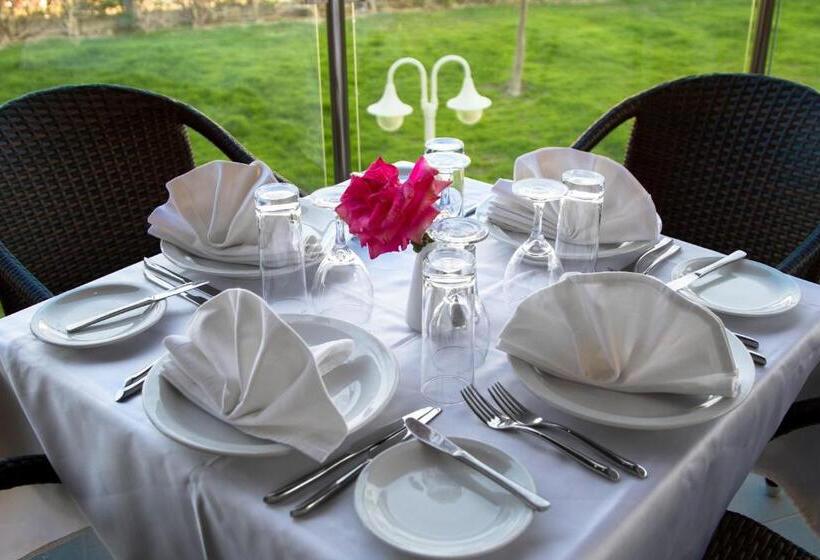 Sun Palace Hotel   All Inclusive