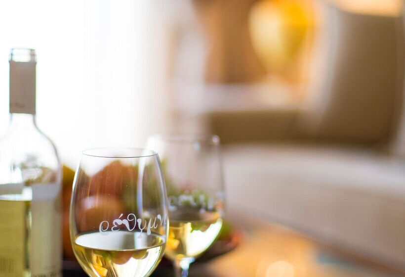 酒店 Theartemis Palace