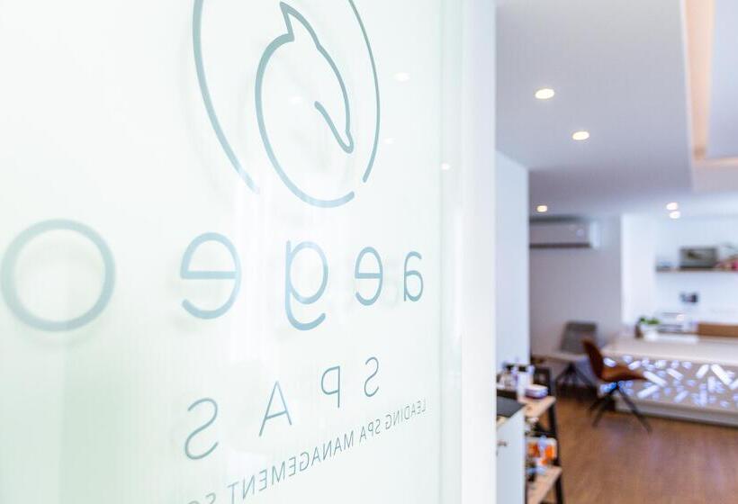 酒店 Theartemis Palace