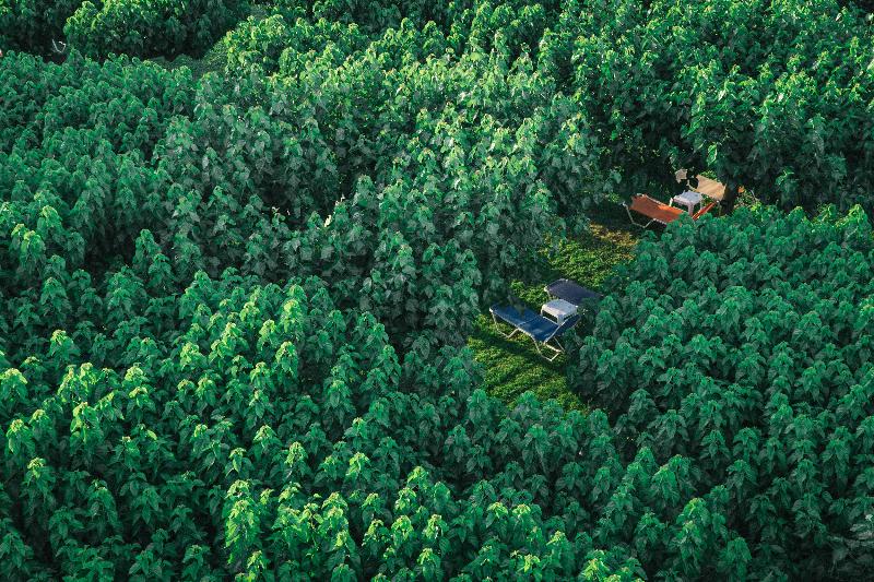 Tzaki Hotel & Restaurant Patras