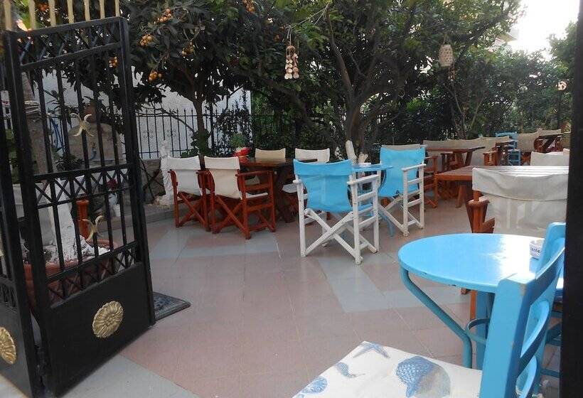 בית מלון כפרי Voula