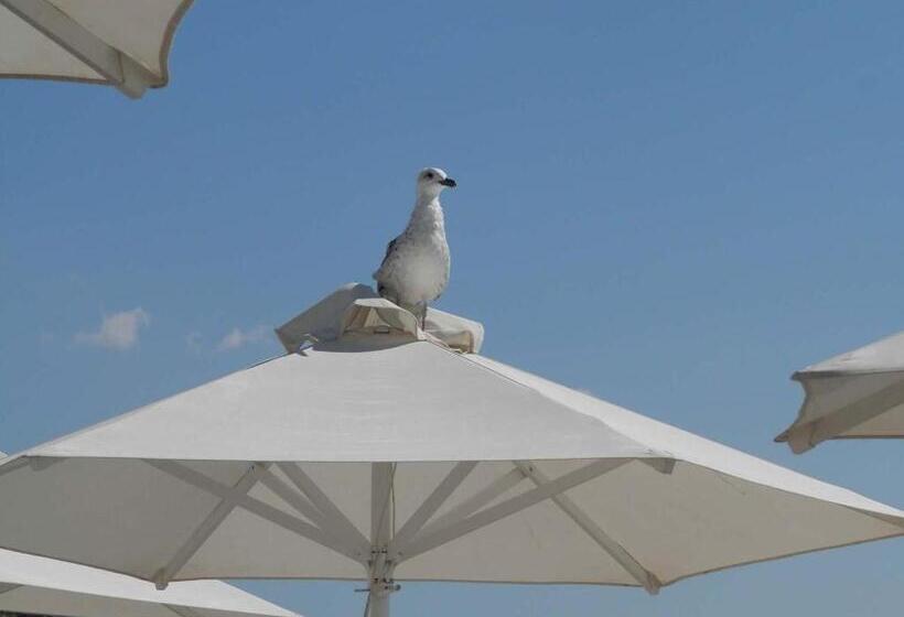 Stefanakis Hotel & Apartments