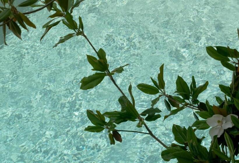 Stefanakis Hotel & Apartments