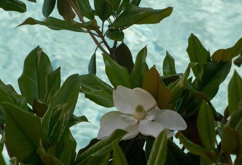 Stefanakis Hotel & Apartments