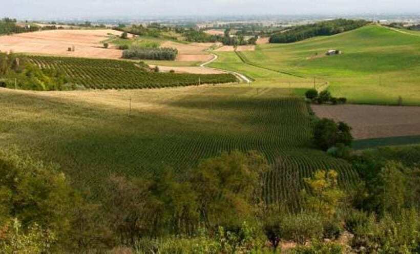 Общежитие Rondò