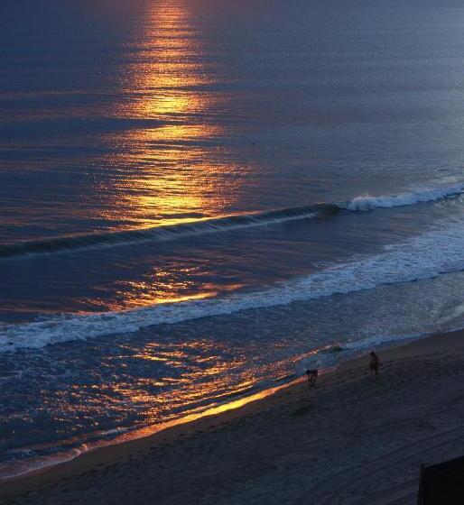 Отель Albergo Riviera Spineta