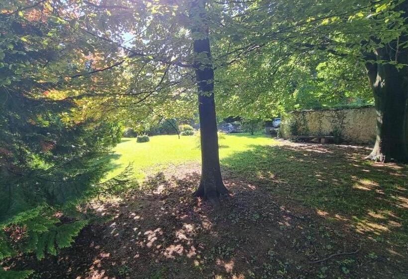 ホテル Albergo Trieste