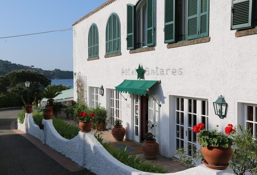 فندق Antares