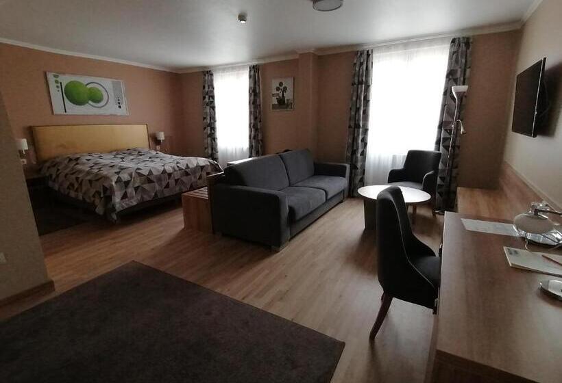 هتل Arany Bárány