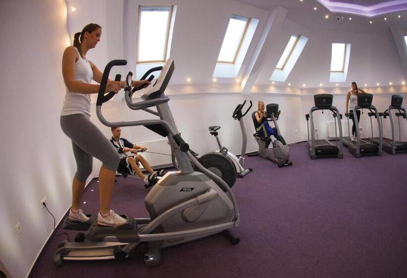 هتل Arany Bárány