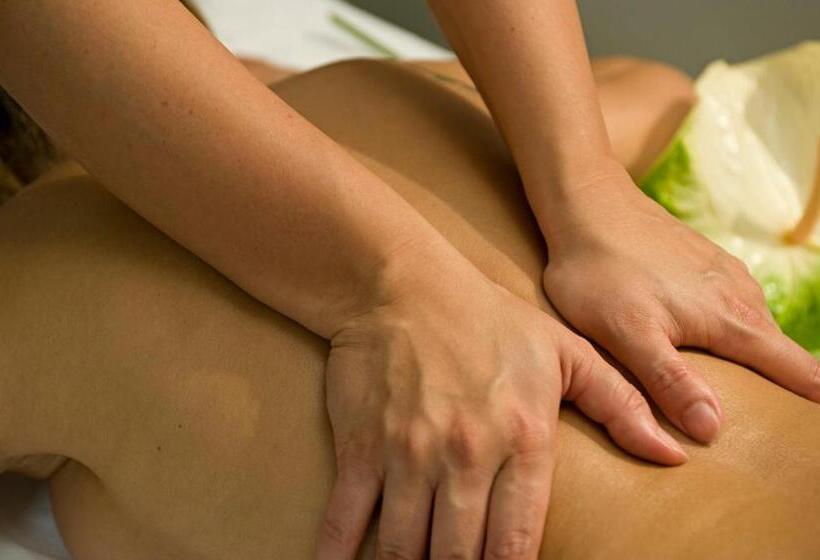 Arli Hotel Business And Wellness